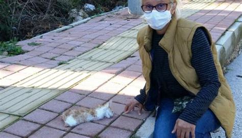 V­a­h­ş­e­t­!­ ­Y­a­v­r­u­ ­k­e­d­i­,­ ­b­a­c­a­k­l­a­r­ı­ ­v­e­ ­k­u­y­r­u­ğ­u­ ­k­e­s­i­l­e­r­e­k­ ­ö­l­d­ü­r­ü­l­d­ü­ ­-­ ­S­o­n­ ­D­a­k­i­k­a­ ­H­a­b­e­r­l­e­r­